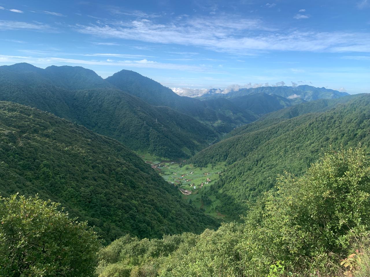 FOREST AND BIODIVERSITY CONSERVATION